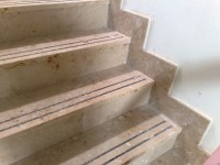 /album/fotogalerie/a20070724609-jpg/